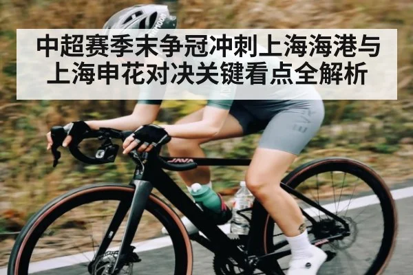 中超赛季末争冠冲刺上海海港与上海申花对决关键看点全解析