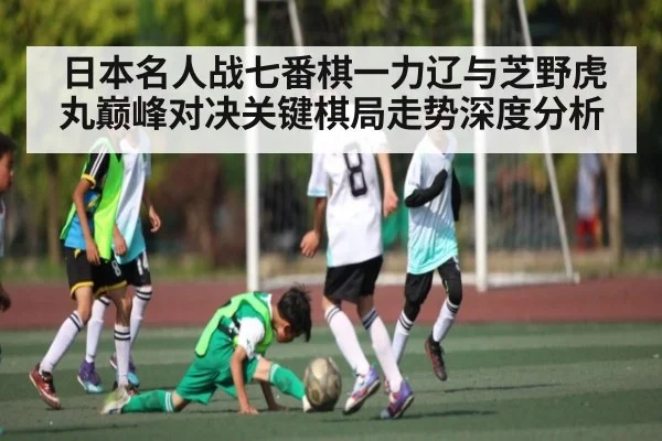 日本名人战七番棋一力辽与芝野虎丸巅峰对决关键棋局走势深度分析